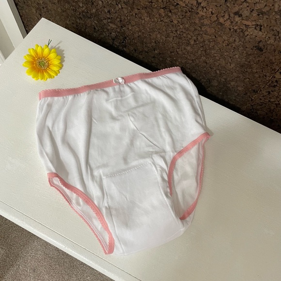 2/$10 Women’s Incontinence Protective Panty. Washable & Reusable Mesh Pocket. - Picture 13 of 14